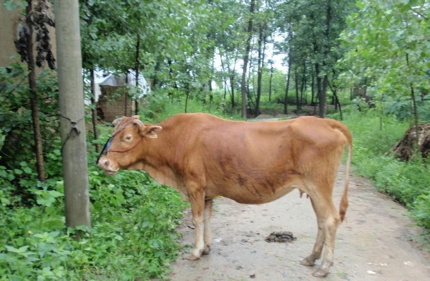 大同最新求一个套医保卡的黄牛是真的吗方法分析(最方便真实的大同求一个套医保卡的黄牛是真的吗还是假的方法)